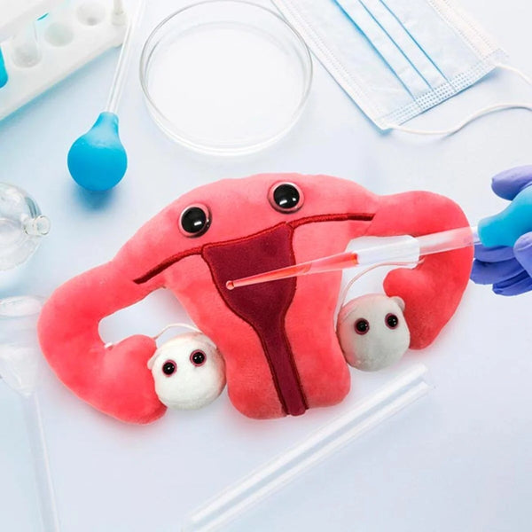 Uterus Plush