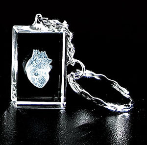 A glass rectangle with a silver keychain attached. The inside has a laser-etched image of a anatomical heart.