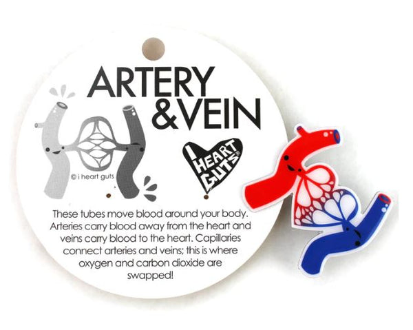 Artery & Vein Pin