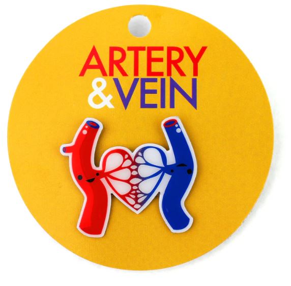 A yellow background with a red and blue illustration of an artery and vein.