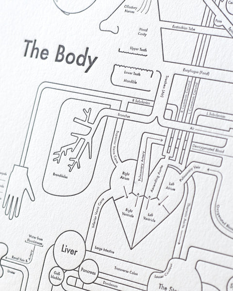 Body Map Print