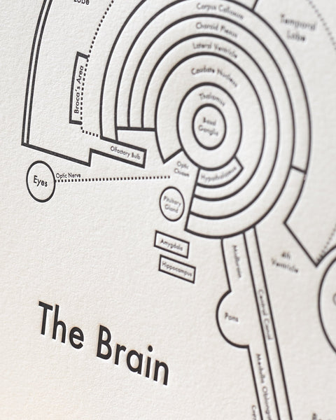 Brain Map Print