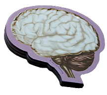 A small notepad with a purple borders and an illustrated picture of a brain on it.