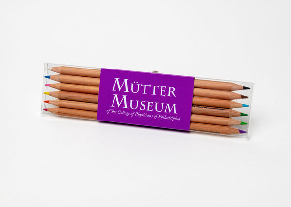 A package of six, double-tipped colored pencils for a total of 12 colors. The package has a purple label with the Mütter Museum logo on it.
