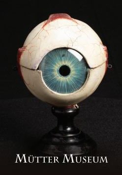 Papier Mache Eye Magnet