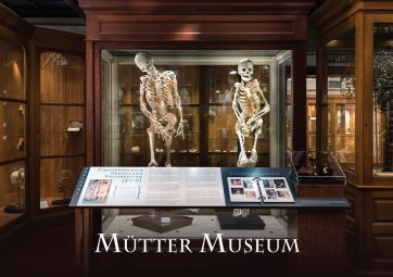 A photo of the case with the skeletons displaying FOP of Harry Eastlack and Carol Orzel. The Mütter Museum logo is in white on the bottom.