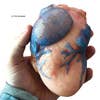 Humongous Growing Heart
