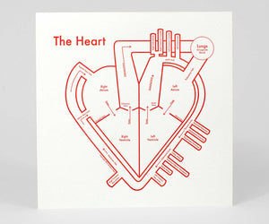 A white print with "The Heart" written in red. The print depicts a stylized drawing of the different parts of the heart, all labeled,  in red ink.