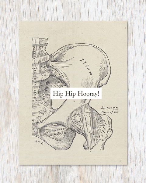 A cream card with a black vintage illustration of a hip with labeled parts. There is a white box that says "Hip Hip Hooray!" over it.