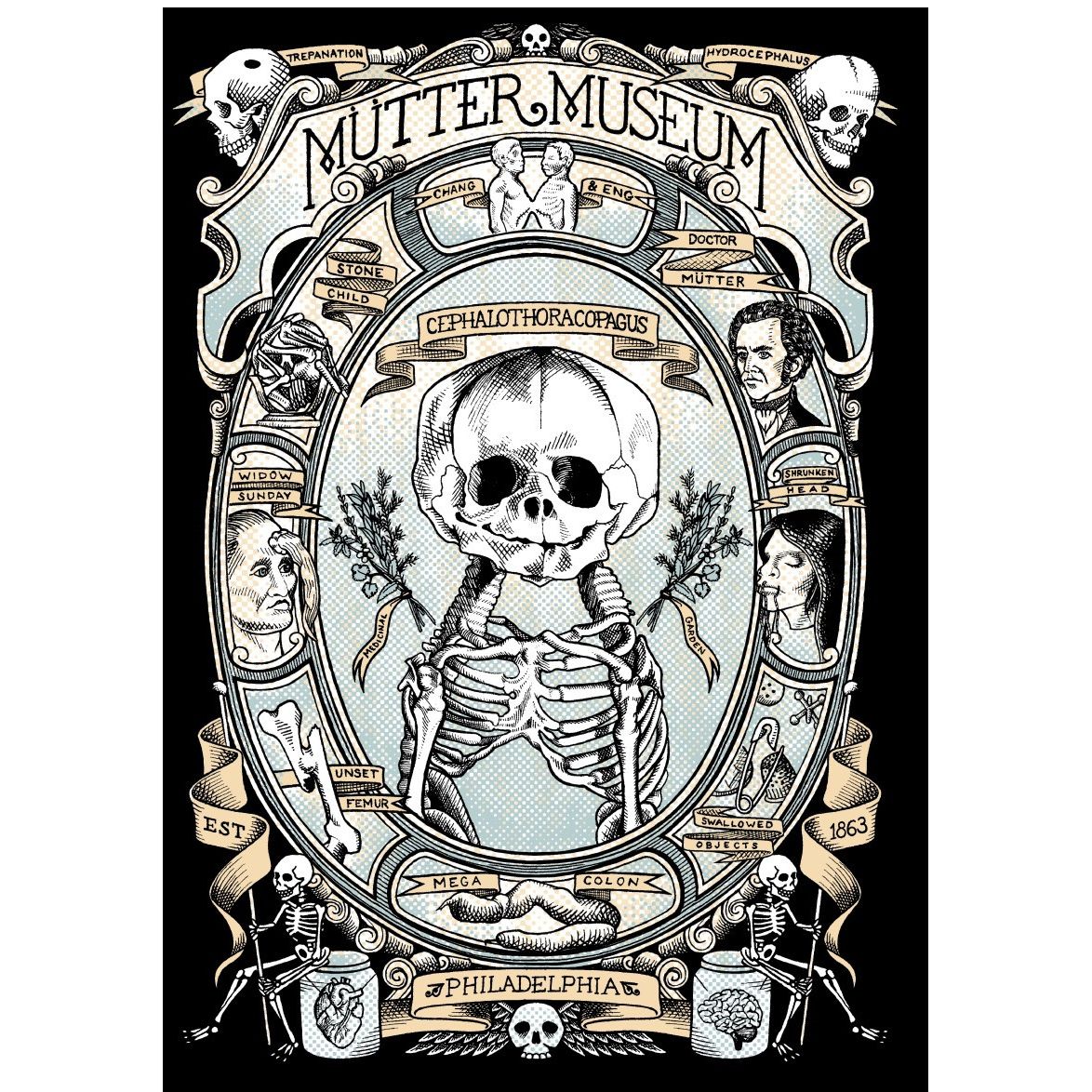 Mütter Museum Hoodie – Mutter Museum Store