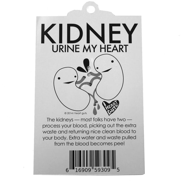 Kidney Keychain