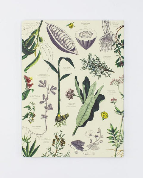 Medicinal Botany Notebook