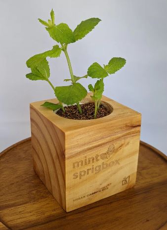 Mint Sprig Box