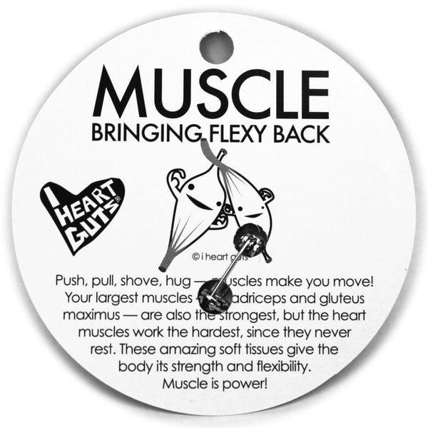 Muscle Pin