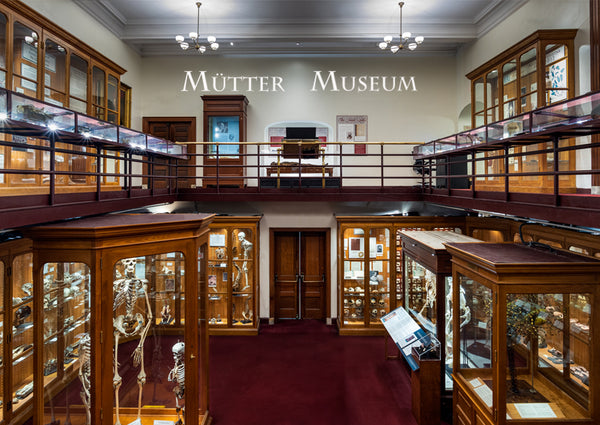 A photo of the inside of the Mütter Museum in it's present state. There are brown historic cabinets with glass panes showcasing different specimens inside.