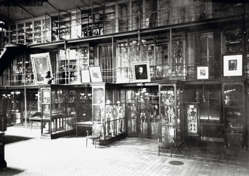 A black and white photo of glass display cases with skeletons in them.