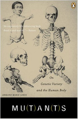 A creme colored book with various vintage illustrations of different skeletal presentations.