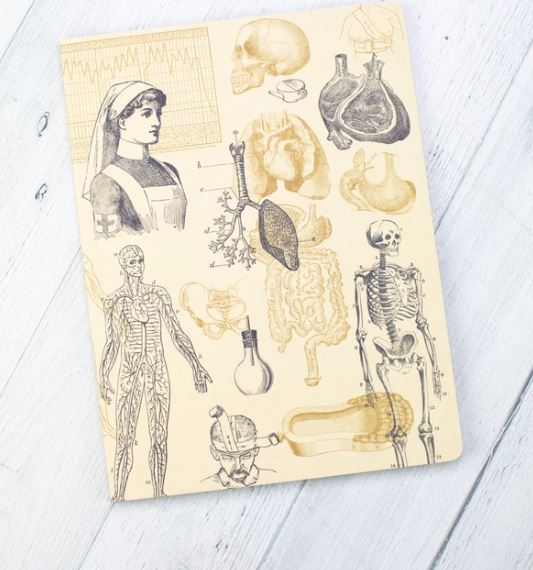 A cream notebook with historical medical images in black and gold. The images include a drawing of a nurse, a skeleton, the lungs, skulls, and other organs.