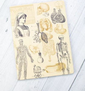 A cream notebook with historical medical images in black and gold. The images include a drawing of a nurse, a skeleton, the lungs, skulls, and other organs.