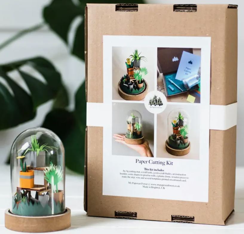 Paper Plant Terrarium Kit