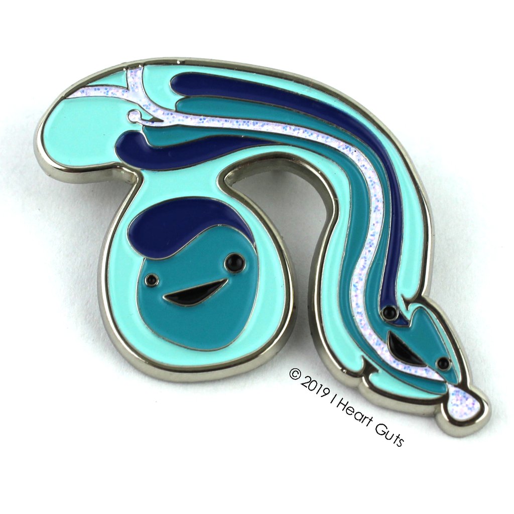 Penis Pin Mutter Museum Store