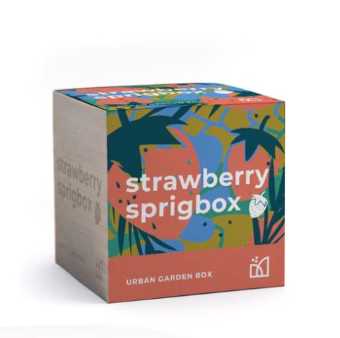 Strawberry Sprig Box