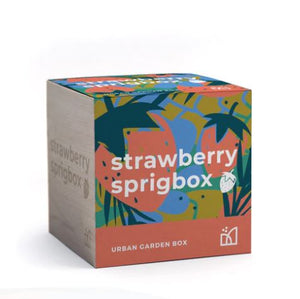 Strawberry Sprig Box