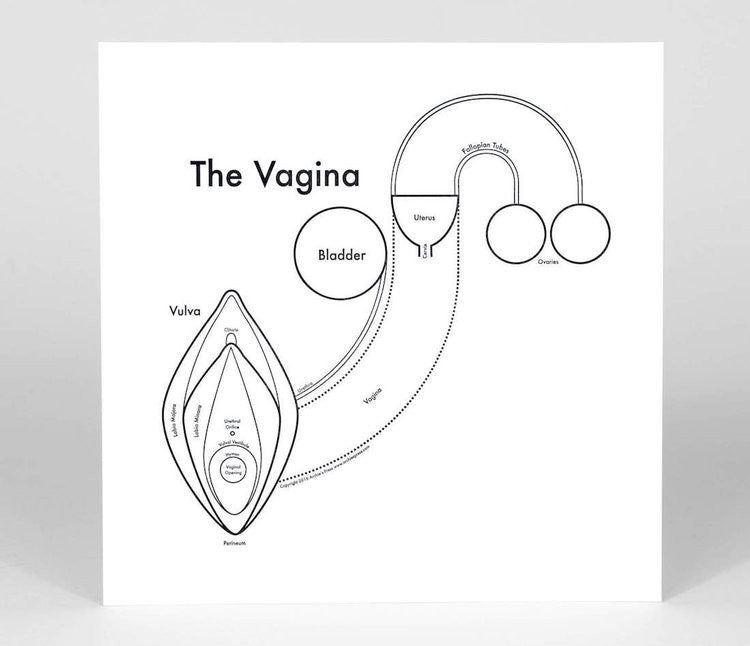 Vagina Map Print