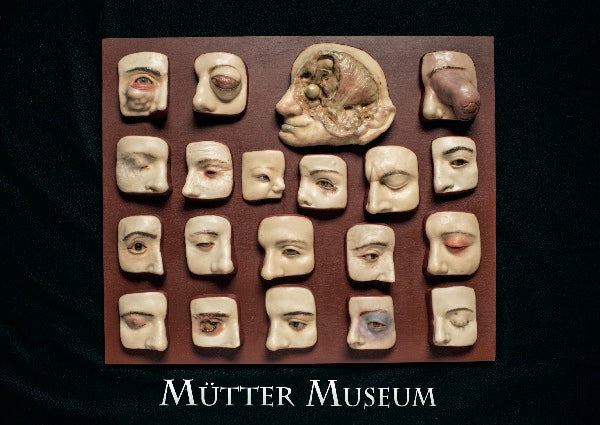 Wax Eye Postcard – Mutter Museum Store