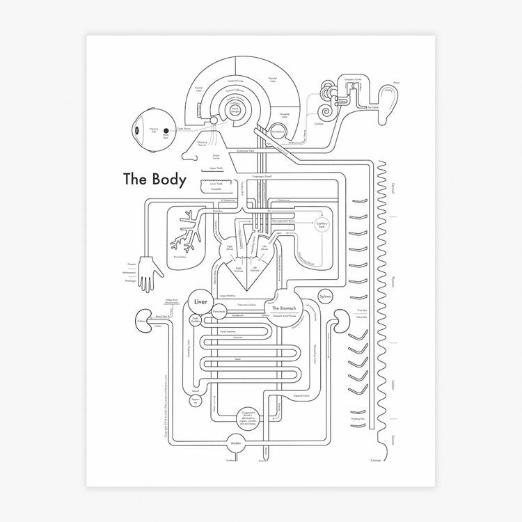 A black and white illustration of the parts of the body, articulated and labeled.