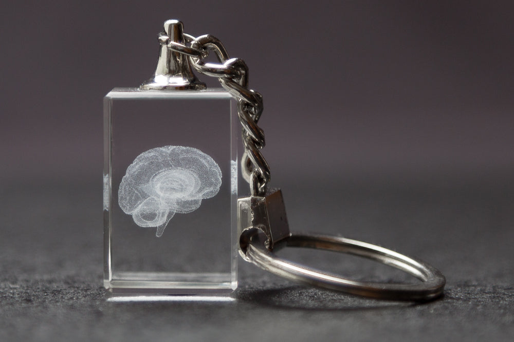 A clear crystal rectangle with the image of a brain laser etched on the inside.