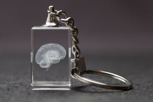 A clear crystal rectangle with the image of a brain laser etched on the inside.