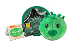 A green plush with two black eyes in the shape of chlamydia.