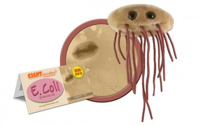 A brown oval plush with dark brown strings coming out of it. It has large brown eyes and a tag that reads E Coli.