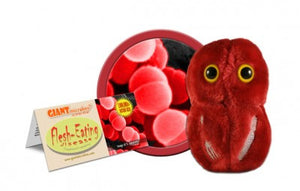 A dark red plush in the shape of a Flesh-Eating Virus. It has two eyes with yellow irises and has a fork and knife applique on the front. There is a card that reads "Flesh Eating Virus" next to it.