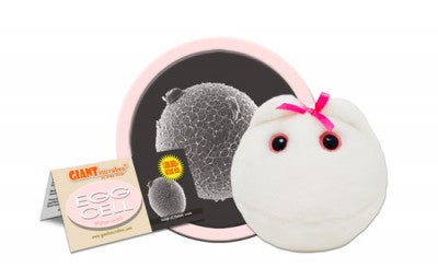 A white plush depicting an Egg Cell. It has a pink bow and two black eyes with pink pupils. It sits next to a tag that says "Egg Cell."