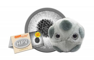 A grey plush with dark grey circles on it and two eyeballs depicting HPV. There is a card that reads "HPV" next to it.