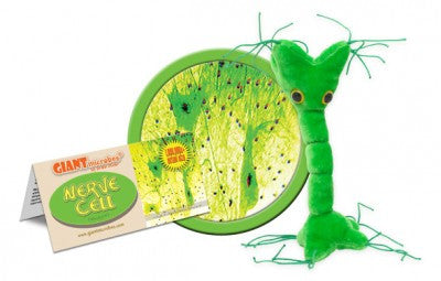 A green plush in the shape of a nerve cell with two plastic eyeballs.