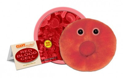 Red Blood Cell