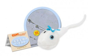 Sperm Cell